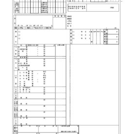 これまでの職務経歴 ～レセプト審査・請求～