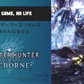 激闘!! モンスターハンター ワールド: アイスボーン 歴戦王 イヴェルカーナ ペア狩りの記録