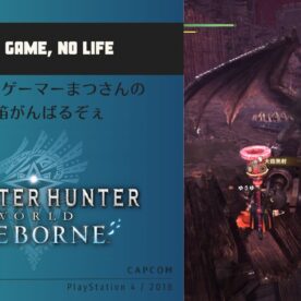 死闘!! モンスターハンター ワールド: アイスボーン 黒龍 ミラボレアス ペア狩りの記録